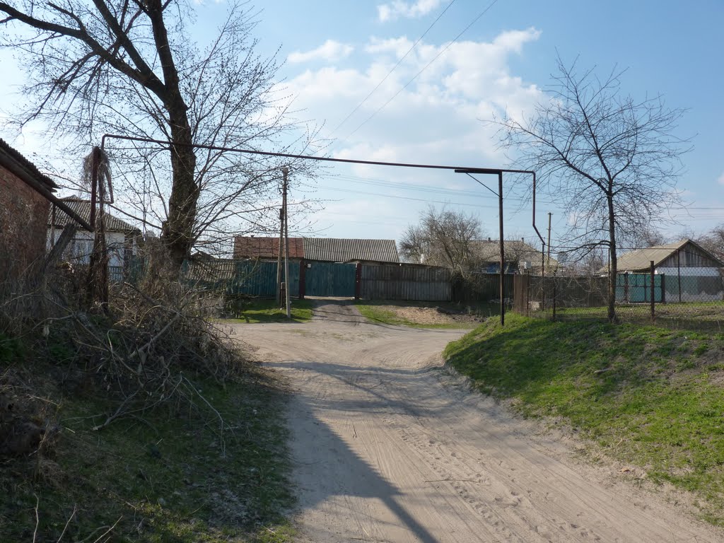 Улицы родного поселка (Воронеж)