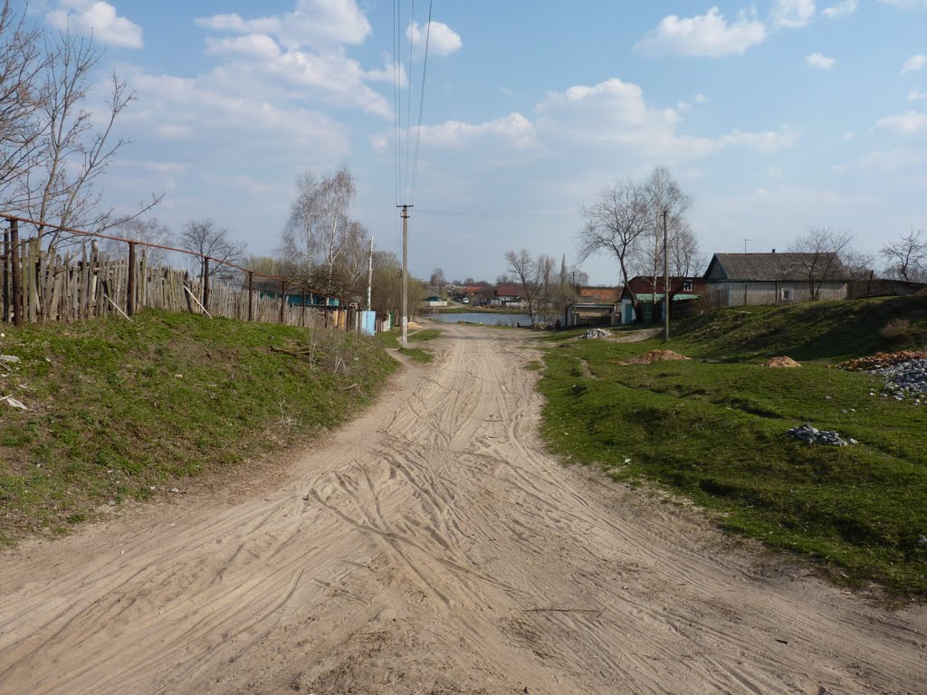 Улицы родного поселка (Воронеж, спуск к заводскому )