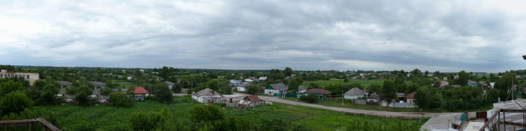 Воронеж утопающий в зеленом море (панорама)