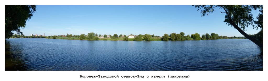 Воронеж Заводская_панорама