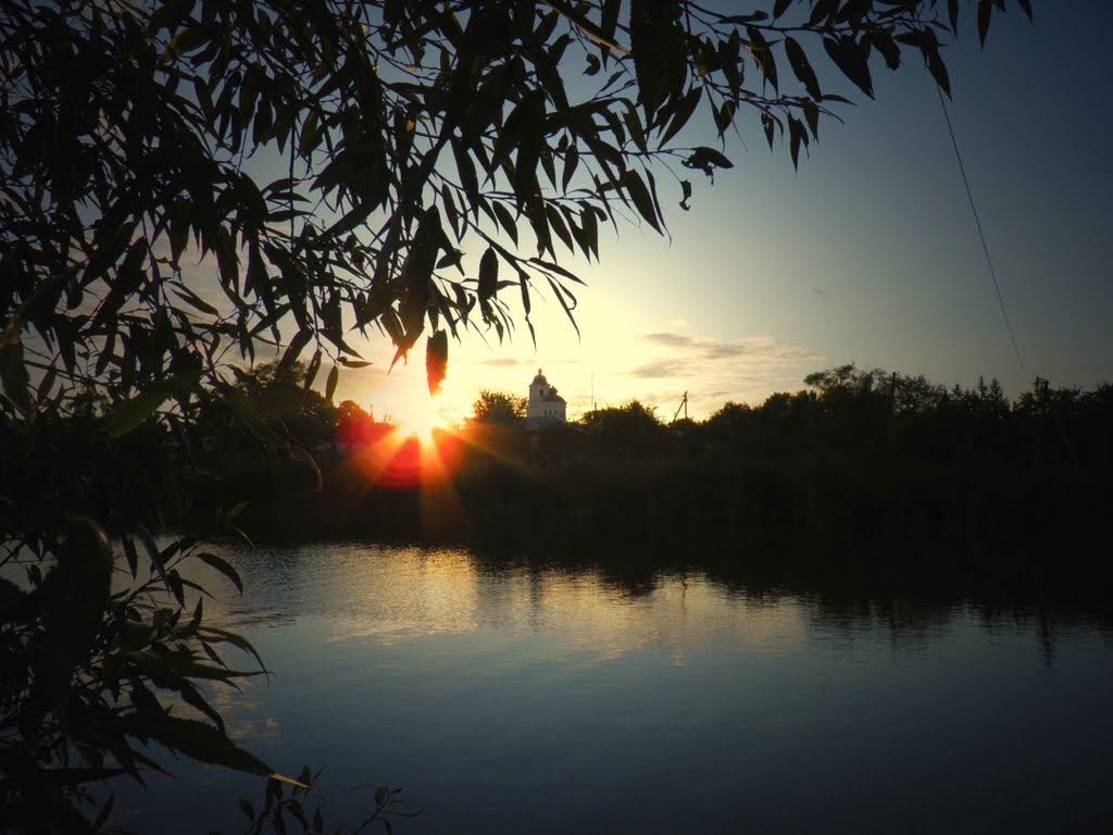Ставок