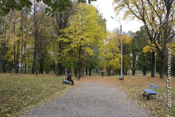 Летний парк