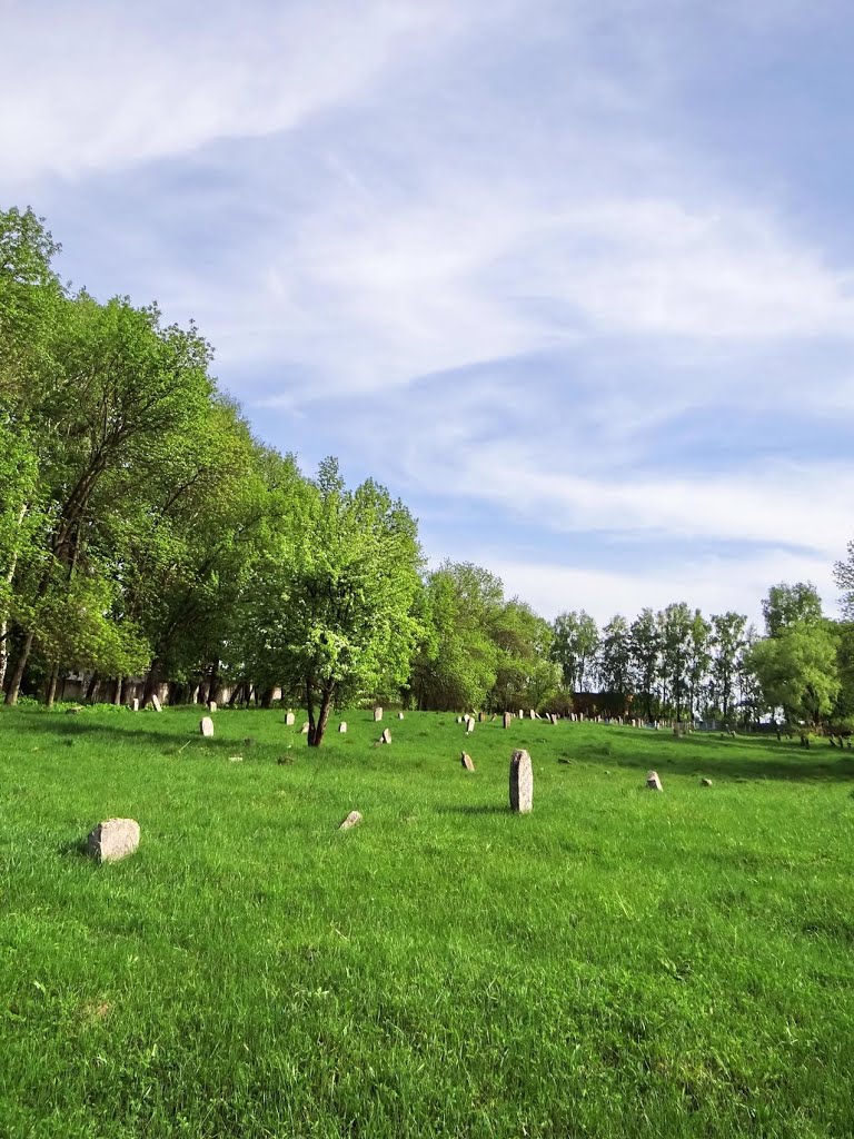 Глухів - старий єврейський цвинтар, Hluhiv - old jewish cemetery, Глухов - еврейское кладбище