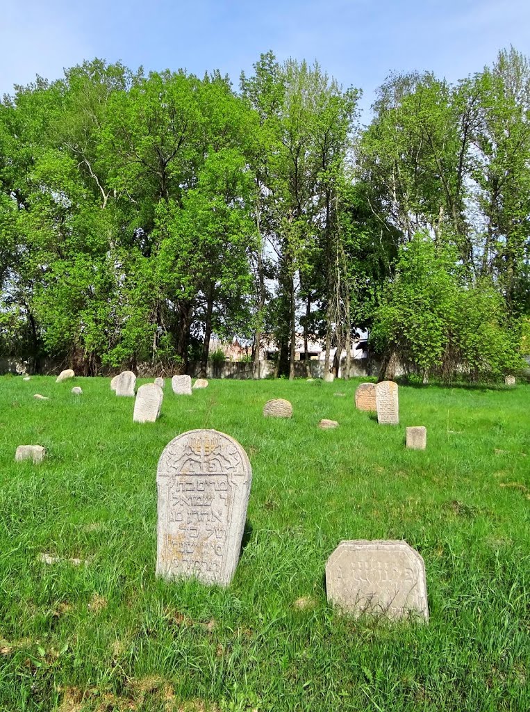 Глухів - старі надгробки, Hluhiv - old jewish cemetery, Глухов - еврейское кладбище