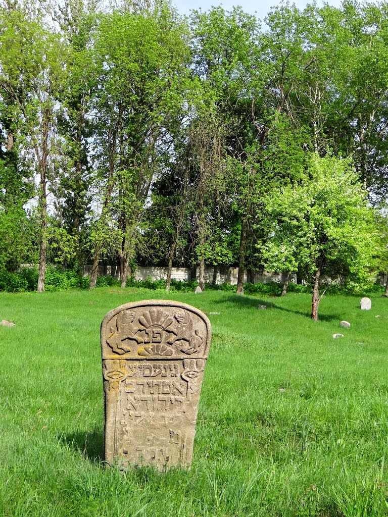 Глухів - мацева з левами, Hluhiv - tombston with lions, Глухов - надгробие со львами