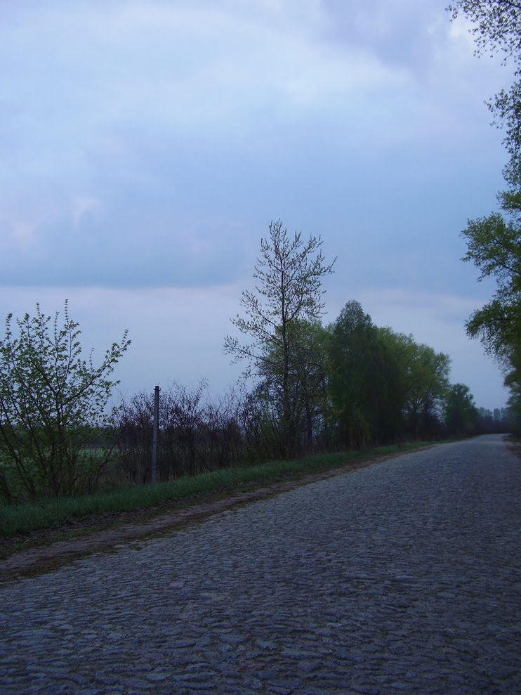 Дорога в с. Знобь-Трубчевская
