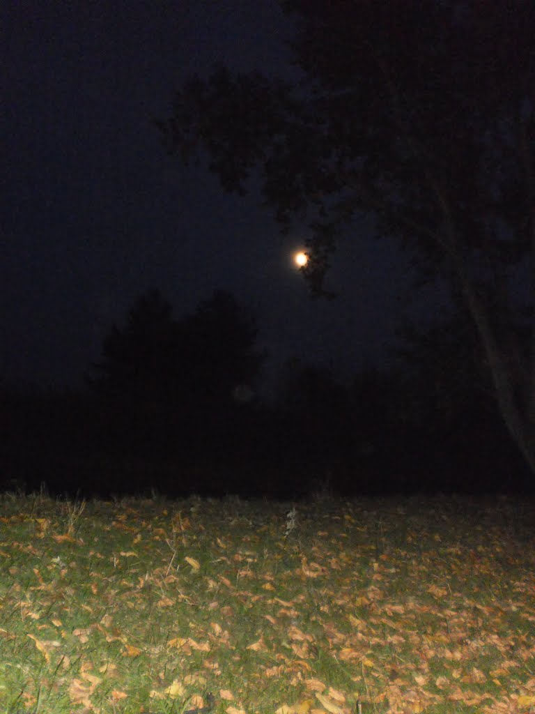 moon