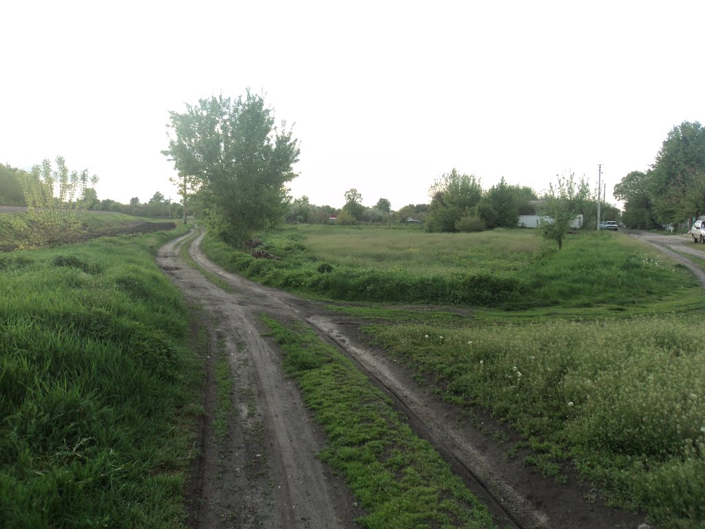 Сільська дорога