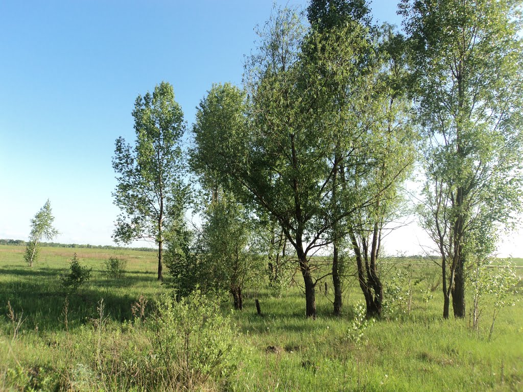 Біля озера