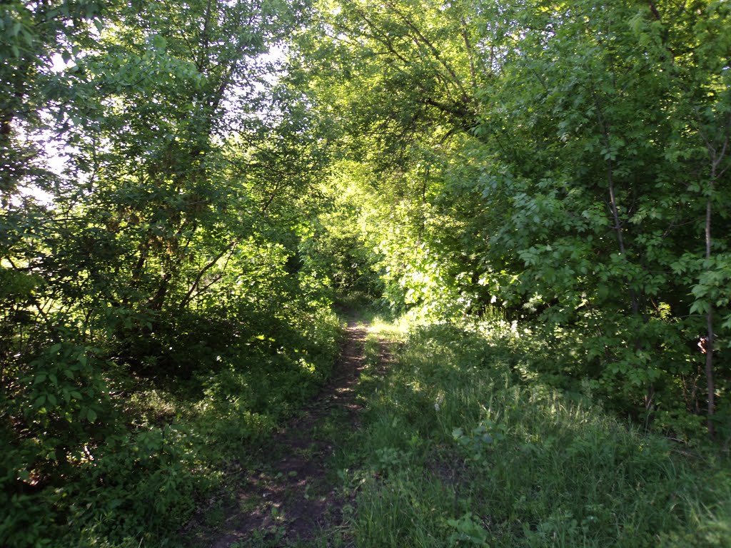 Стара дорога