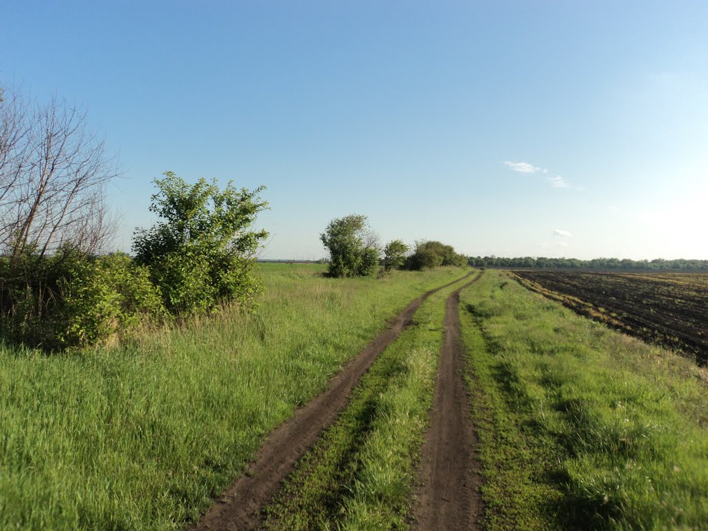 Польовова дорога