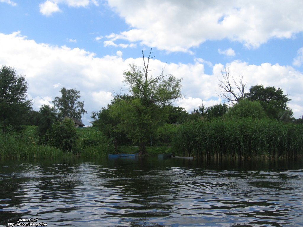 Лодки