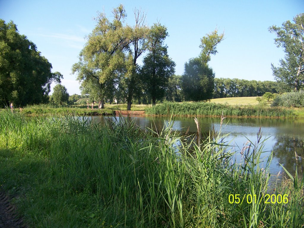 Конотоп, Кандибина
