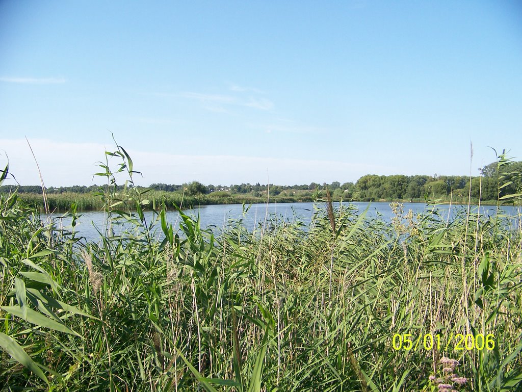 Конотоп, Кандибина
