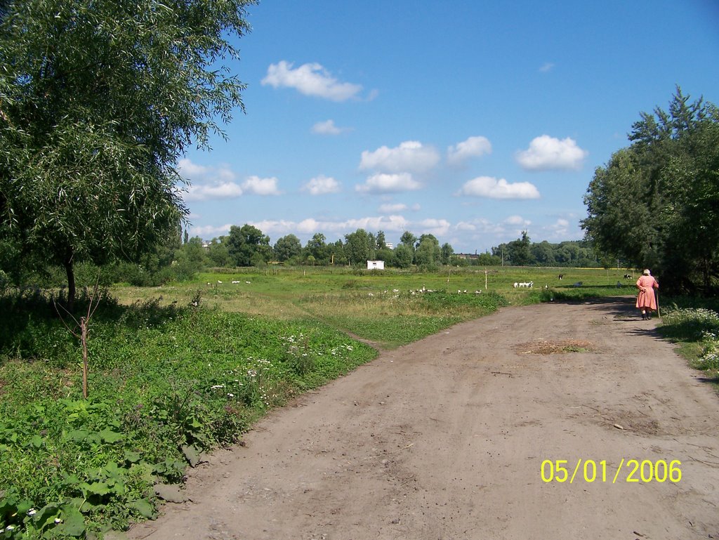 Конотоп, Загребелля