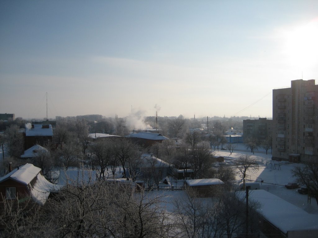 Лисового, Зима 2010