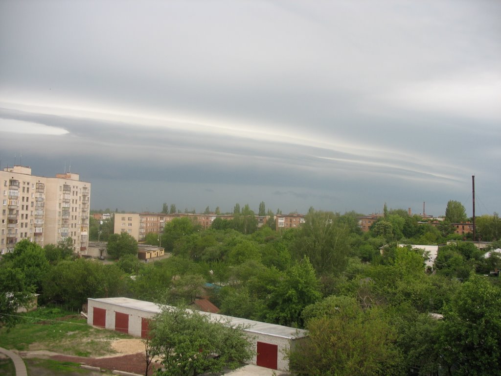 район ул. Лисового