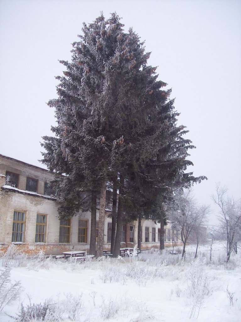Агротехсервис (СХТ)