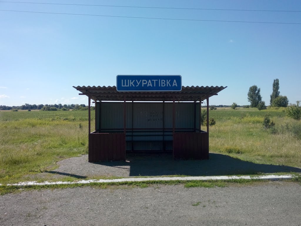 Остановка с.Шкуратовка