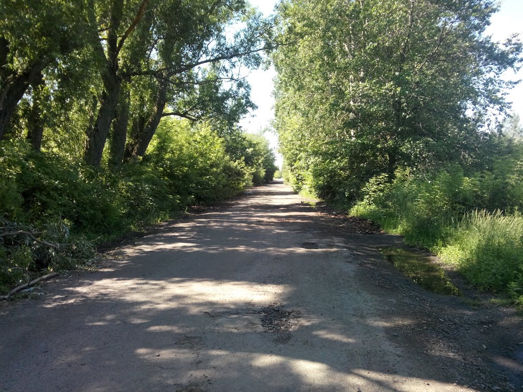 Дорога с.Воронино