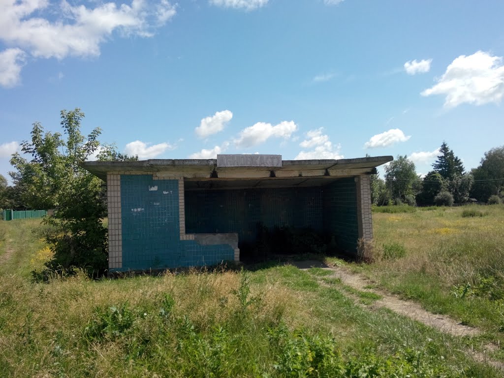 Остановка в с.Анновка-Терновская