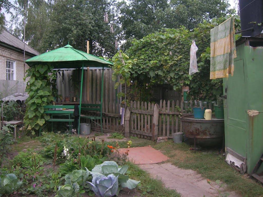 477. Во дворе брата на Украине
