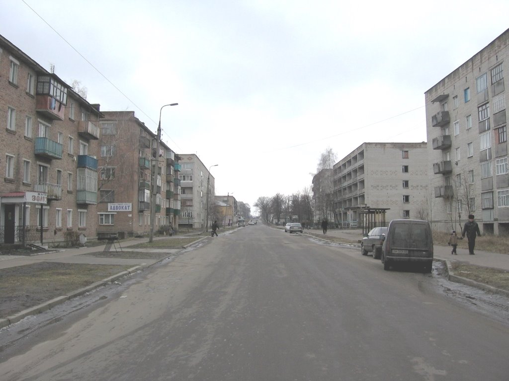 вид на улицу Ленина от круговой развязки.