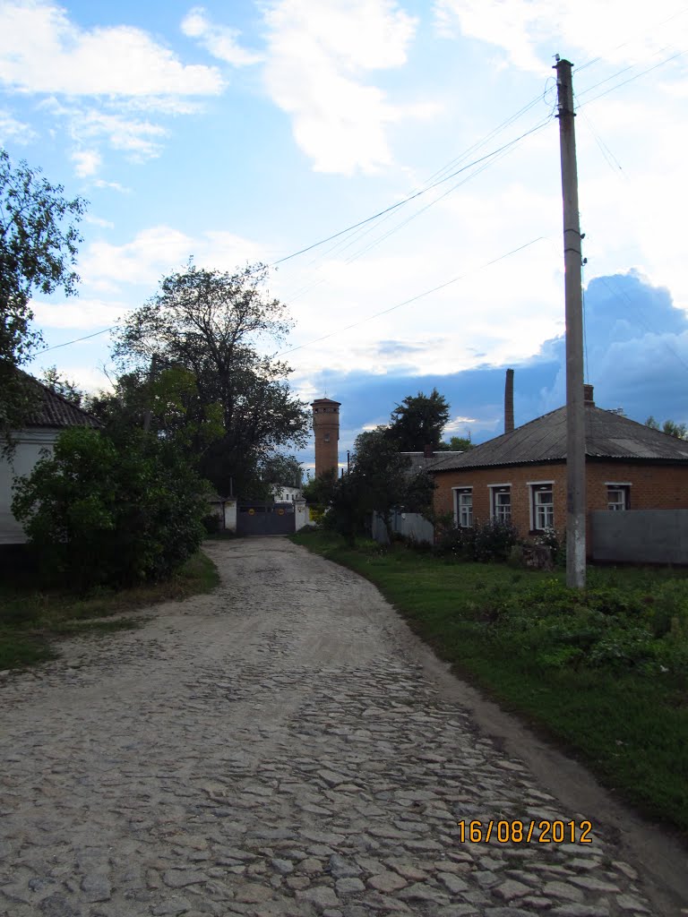 Гароганив тупик foto-planeta.com