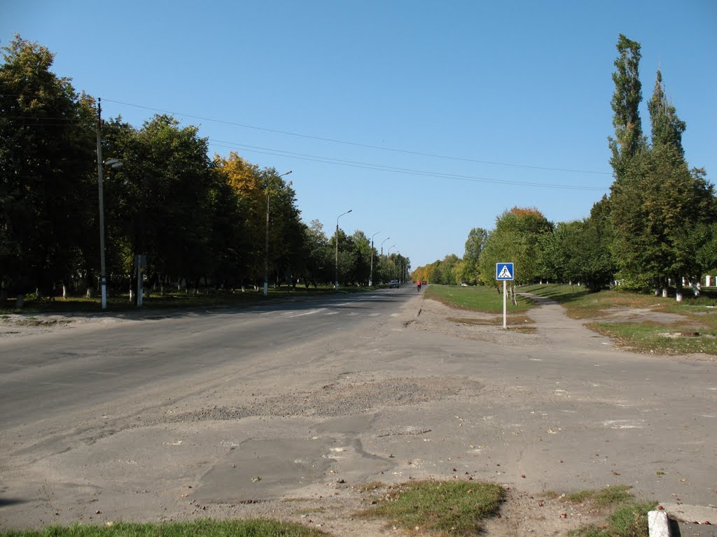 Lipova Dolina, view of the Romenskaya street