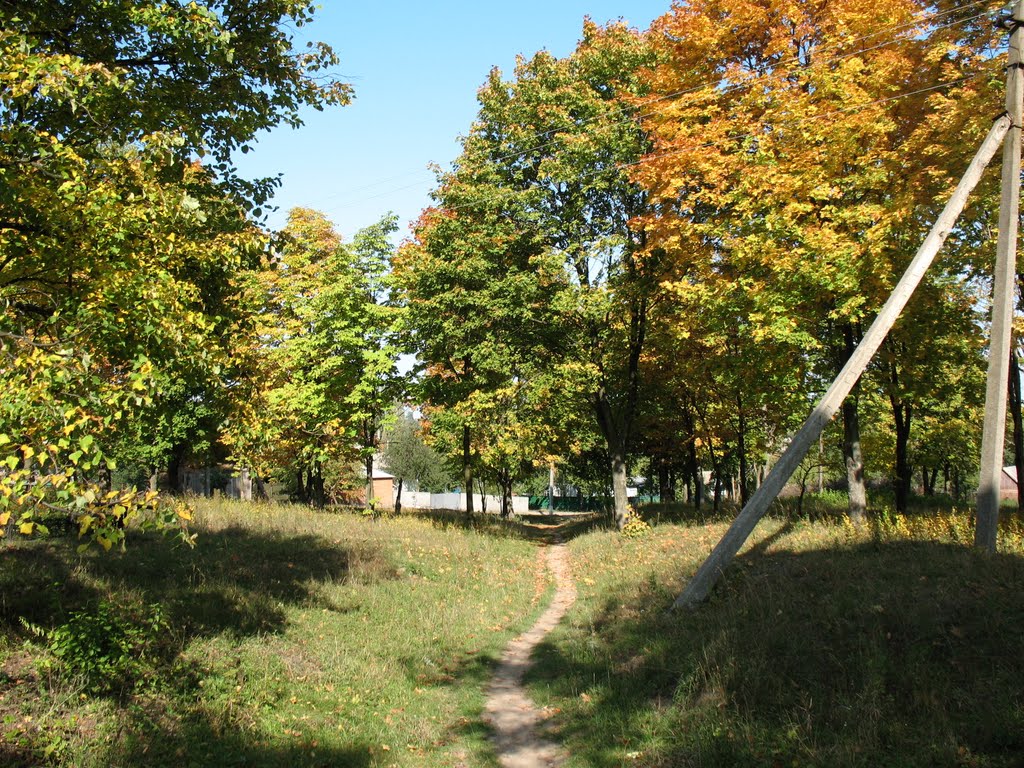 Lipova Dolina, way to the Sportivnaya street