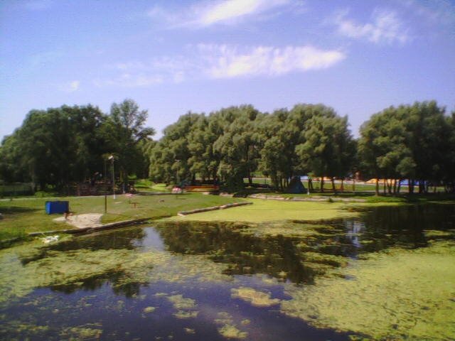 Вид с моста