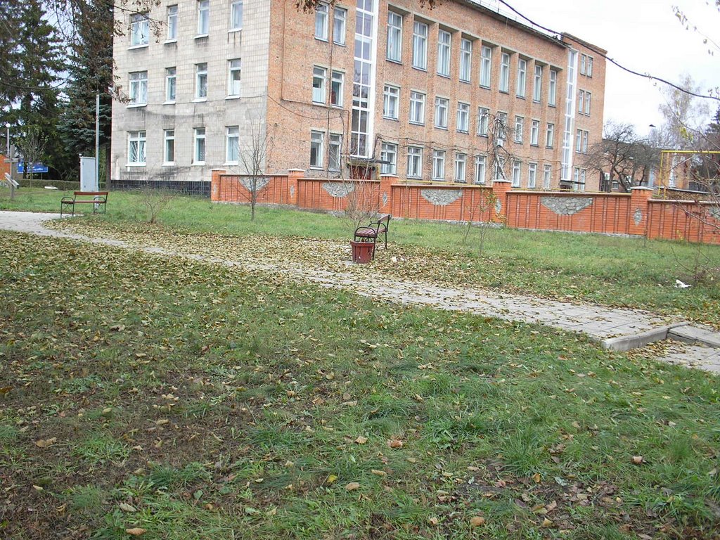 Центральный сквер осенью
