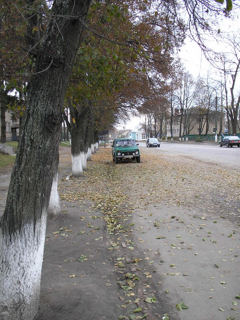 Киевское шоссе