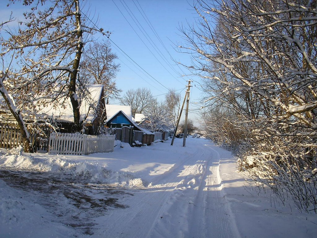 Заснеженный вид