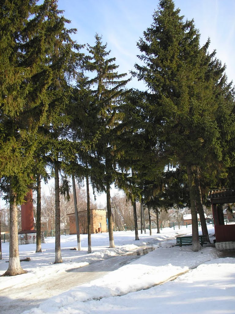 Елки