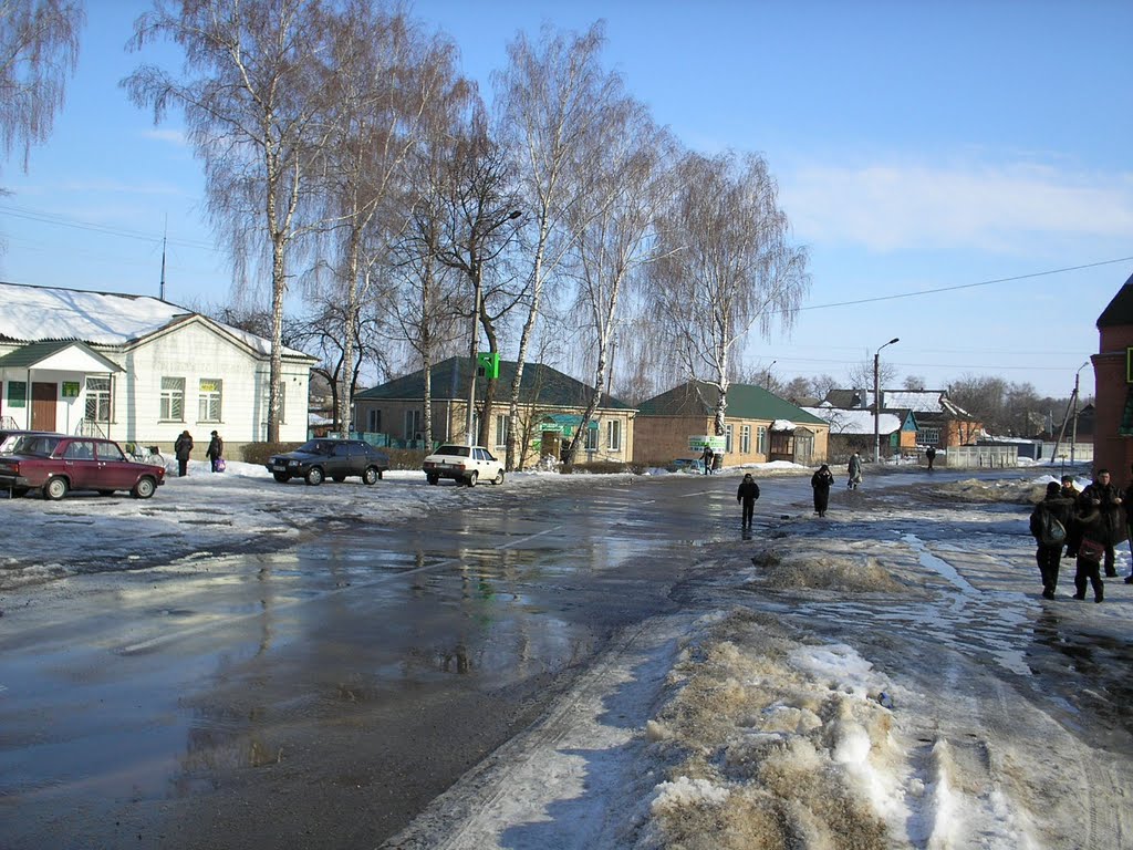 Вид Недригайлова