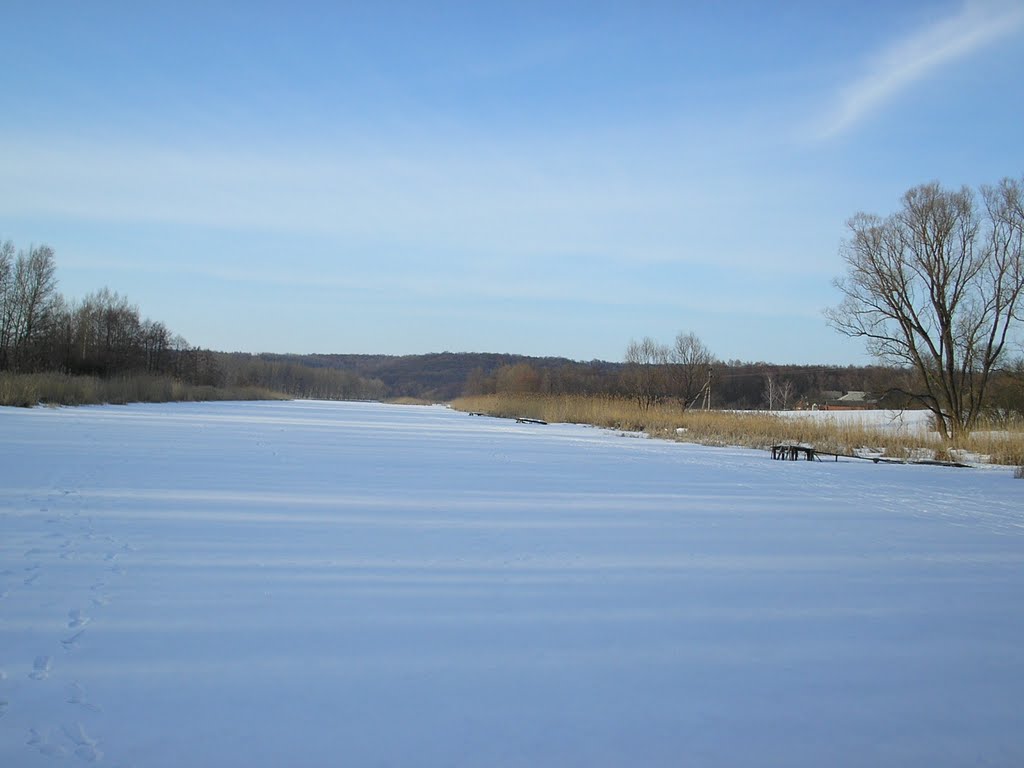 Панорама реки