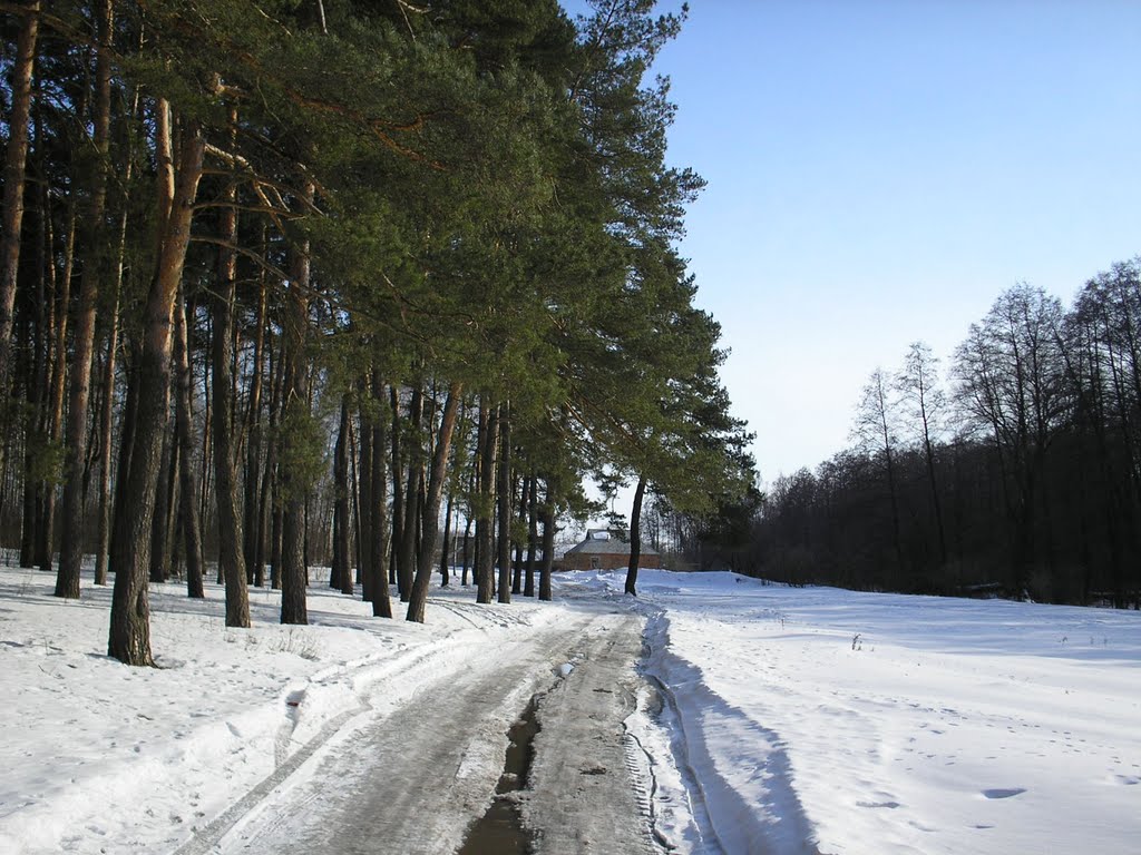 Тропинка через лес