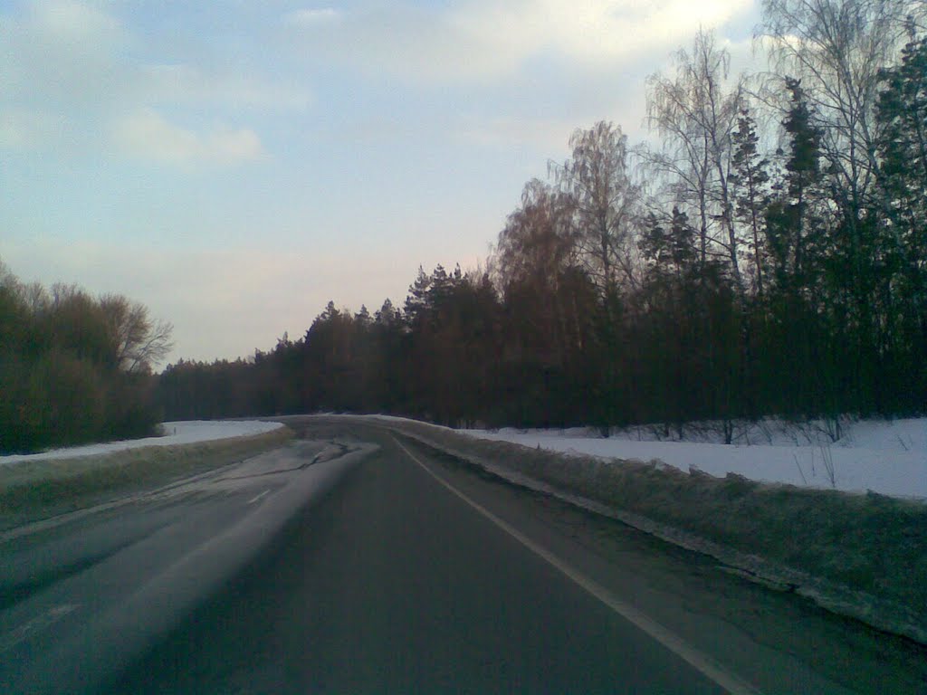 Лиса гора