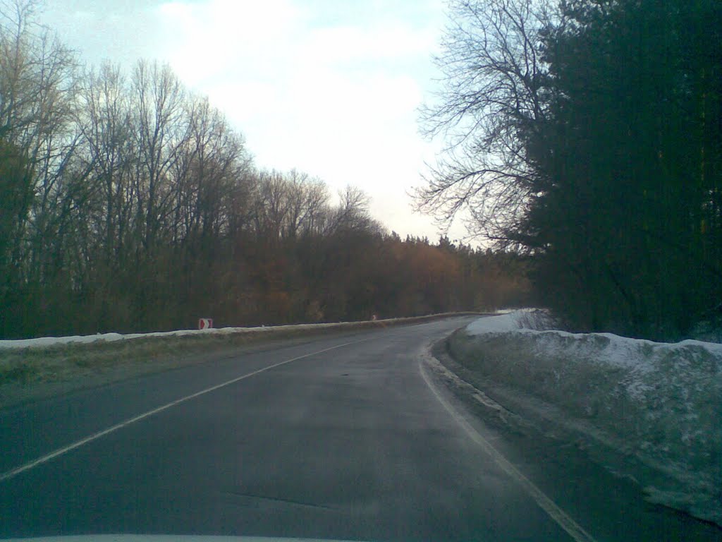 Лиса гора