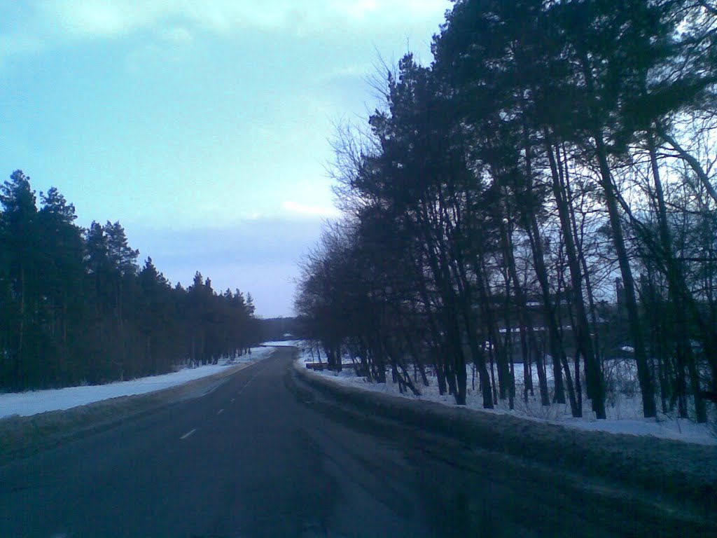 Лиса гора
