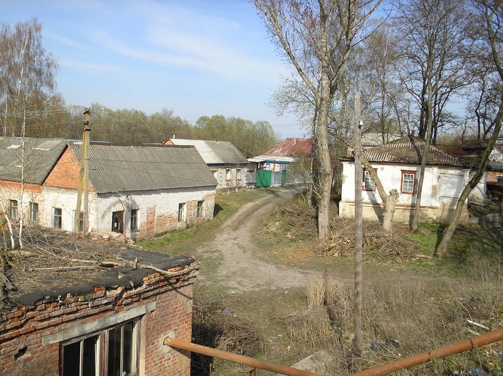 Nedryhailiv
