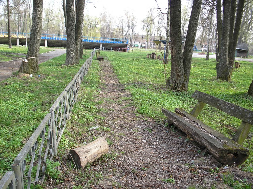 Лавачки