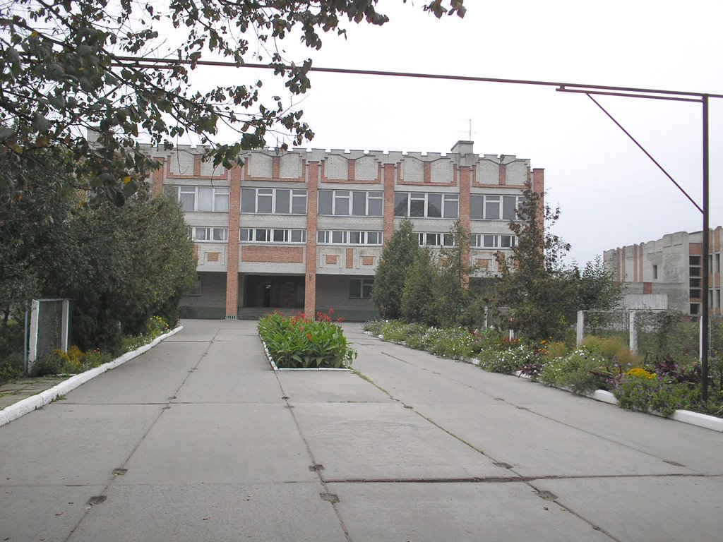 школа