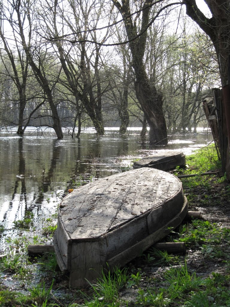 Boats on the bank of Seym