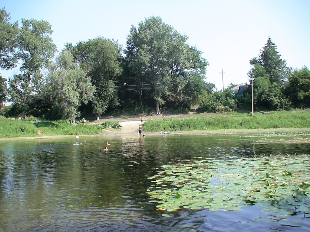 р. Сейм