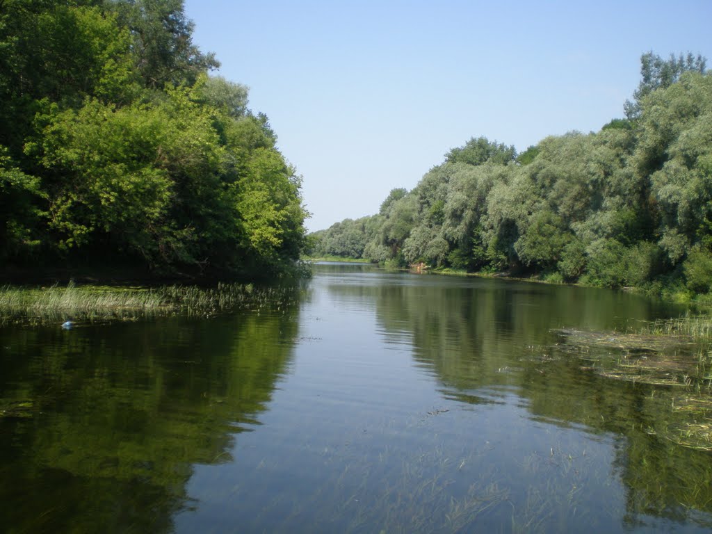 Путивль, городской пляж