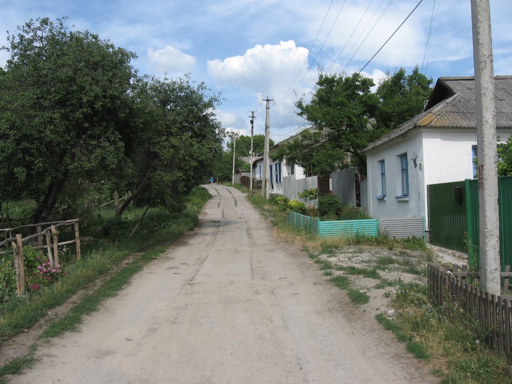 вулиця в Путивлі