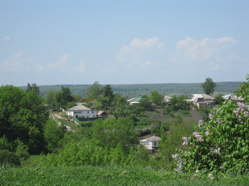 Путивль. Вид с "Городка"