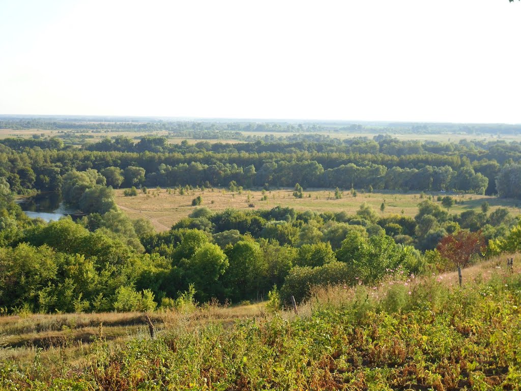 р. Сейм